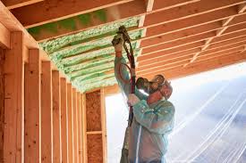 Best Insulation for New Construction  in Cypress Lake, FL