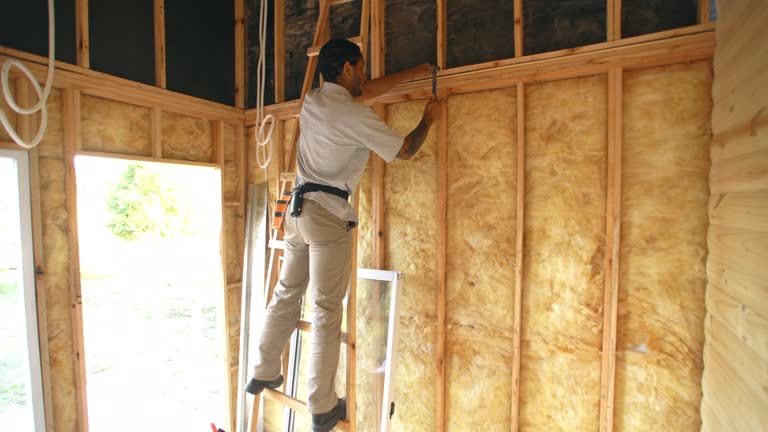 Best Wall Insulation Installation  in Cypress Lake, FL